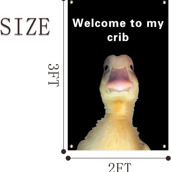 Welcome to My Crib Funny Flag 2x3Ft Wall Flag with 4 Brass Grommets for Party Ga - Picture 2 of 3